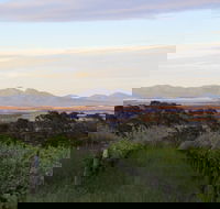 Castle Rock Estate Winery - Sunshine Coast Tourism