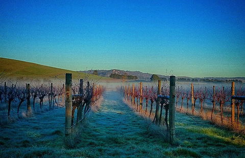 Eastern Peake Winery - Holiday Sunshine Coast 0