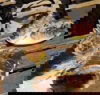 Perso - Sunshine Coast Tourism