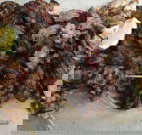 Pita Wrap It - Holiday Sunshine Coast