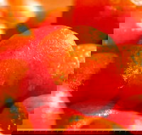 Punjab Indian Sweets and Restaurant - Mount Druitt - Sunshine Coast Tourism