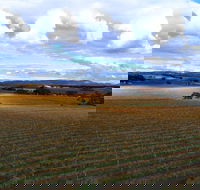 Schubert Estate - Sunshine Coast Tourism