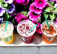 Starbucks - Hurstville - Sunshine Coast Tourism
