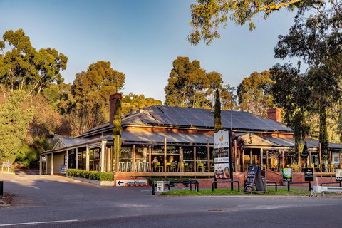 The Duck - Holiday Sunshine Coast 0