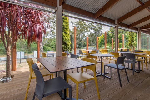 The Duck - Holiday Sunshine Coast 1