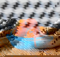 The Yiros Shop - Cannon Hill - Sunshine Coast Tourism