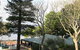 Walter's River Cafe - thumb 0