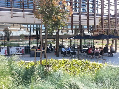 Aroma Cafe - Mawson Lakes - Sunshine Coast Tourism 0