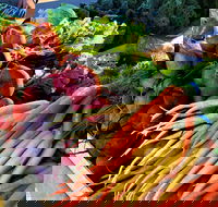 Barossa Farmers Market - Sunshine Coast Tourism