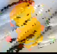 Cafe Cee - Sunshine Coast Tourism