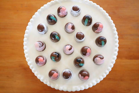 Cocoa Nib - Sunshine Coast Tourism 0