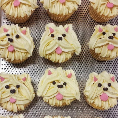 Cupcake Central - Maribyrnong - Sunshine Coast Tourism 0