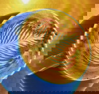 Frankie  George - Sunshine Coast Tourism