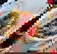 Gyradiko Bexley - Bexley - Sunshine Coast Tourism