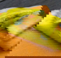 House Of Canton - Sunshine Coast Tourism