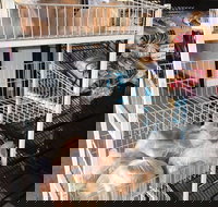 Jamison Bakery - Sunshine Coast Tourism