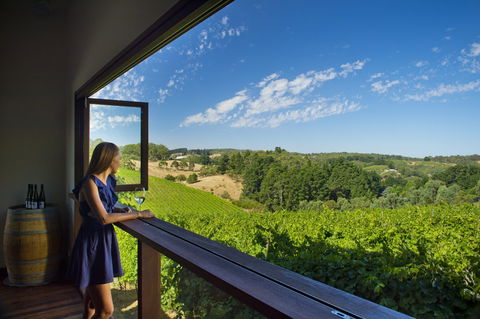 Mt Lofty Ranges Vineyard - Holiday Sunshine Coast 0