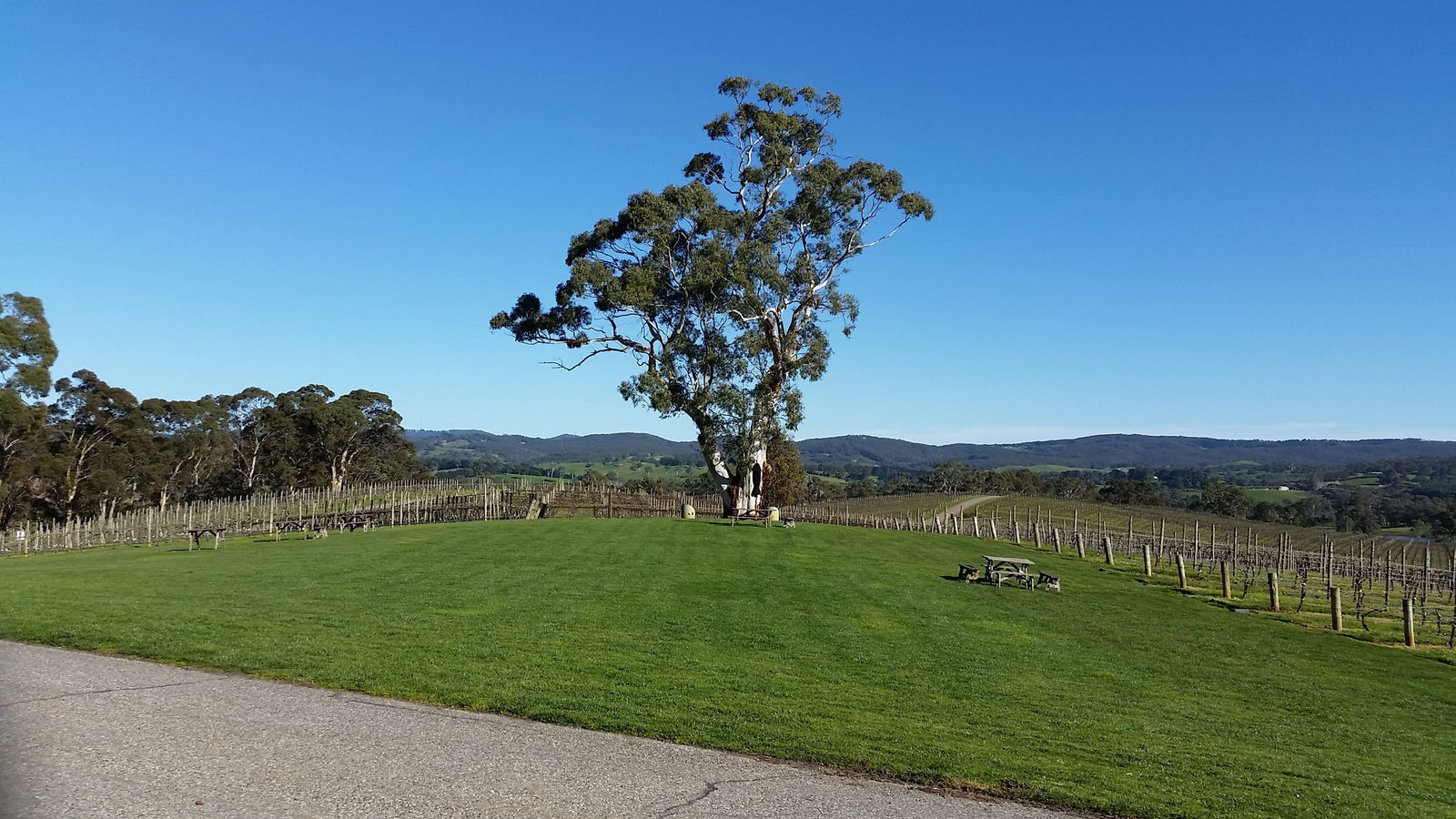  Sunshine Coast Tourism