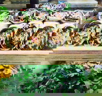 Salud Expresso Bar - Sunshine Coast Tourism