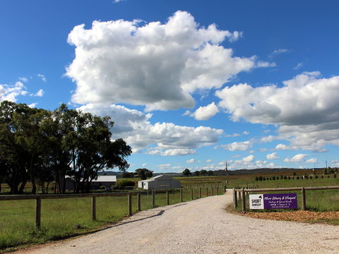 Short Sheep Micro-Winery - Holiday Sunshine Coast 0