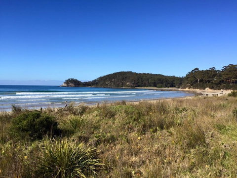 Surf Beach Cafe - Holiday Sunshine Coast 0