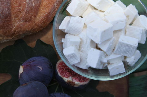 The Cheese Maker - Holiday Sunshine Coast 1