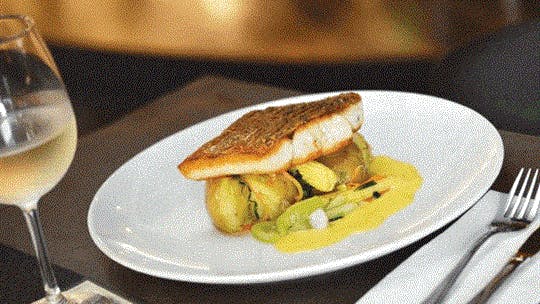 The Cav - Sunshine Coast Tourism 2