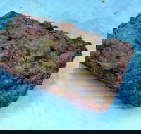 Workshop Espresso - Sunshine Coast Tourism