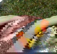 Yuri Sushi - Sunshine Coast Tourism