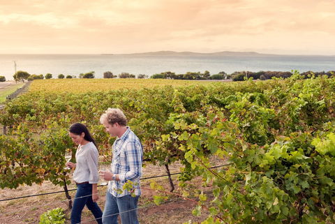 Boston Bay Wines - Holiday Sunshine Coast 0