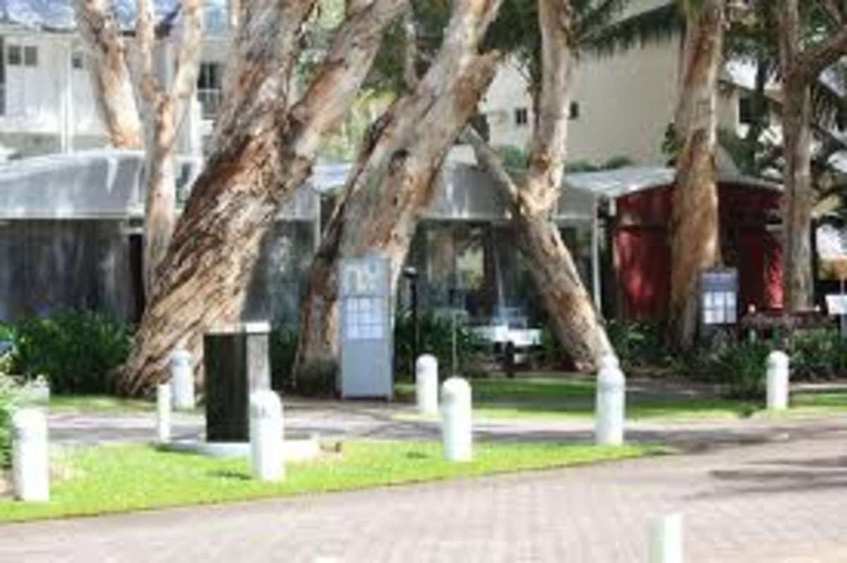 Palm Cove QLD Sunshine Coast Tourism