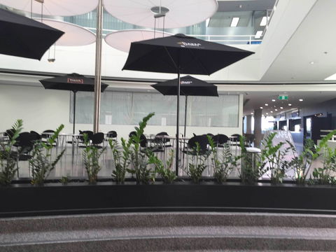 D Cafe - Sunshine Coast Tourism 0