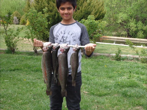 Eucumbene Trout Farm - Sunshine Coast Tourism 1