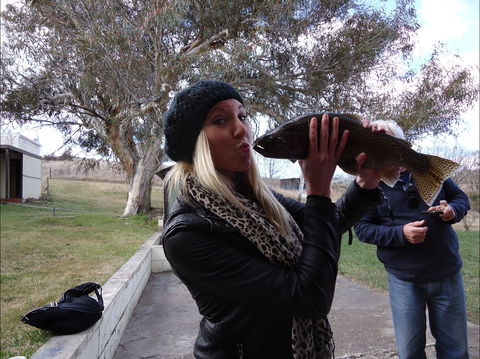 Eucumbene Trout Farm - Sunshine Coast Tourism 2