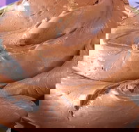 Gelato UNOU - Sunshine Coast Tourism