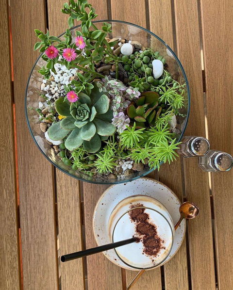 One Little Place Cafe - Holiday Sunshine Coast 0