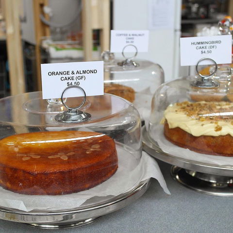 Pickled Pig - Sunshine Coast Tourism 0