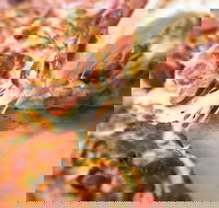 Pizza Rustica - Holiday Sunshine Coast