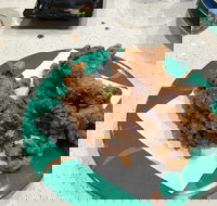 Sushi Bay - Penrith - Sunshine Coast Tourism