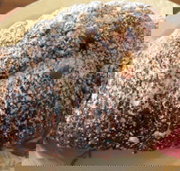 The Broken Drum - Holiday Sunshine Coast