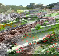 The Farmer's Place - Sunshine Coast Tourism