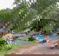 The Pop Inn by Wine Bar Co. - Sunshine Coast Tourism