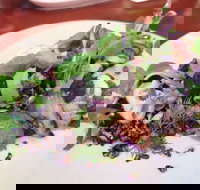 YaYa Bar and Eatery - Sunshine Coast Tourism