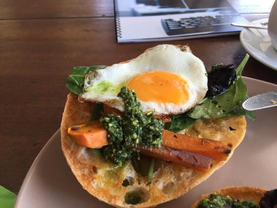 Carrington NSW Sunshine Coast Tourism