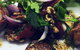 Luscious Organic Cafe & Shop - thumb 2