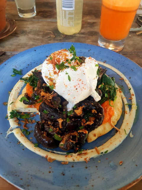 Mister Sunshine's - Holiday Sunshine Coast 1