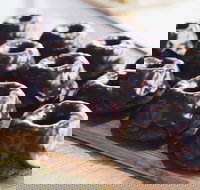 Airport Kebabs - Sunshine Coast Tourism