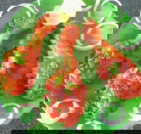 Coconut Lagoon Indian Cuisine - Holiday Sunshine Coast