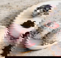 Gelatissimo - Hornsby - Sunshine Coast Tourism