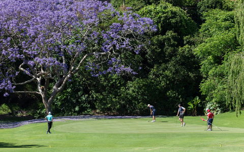 Kiama Golf Club - Holiday Sunshine Coast 2